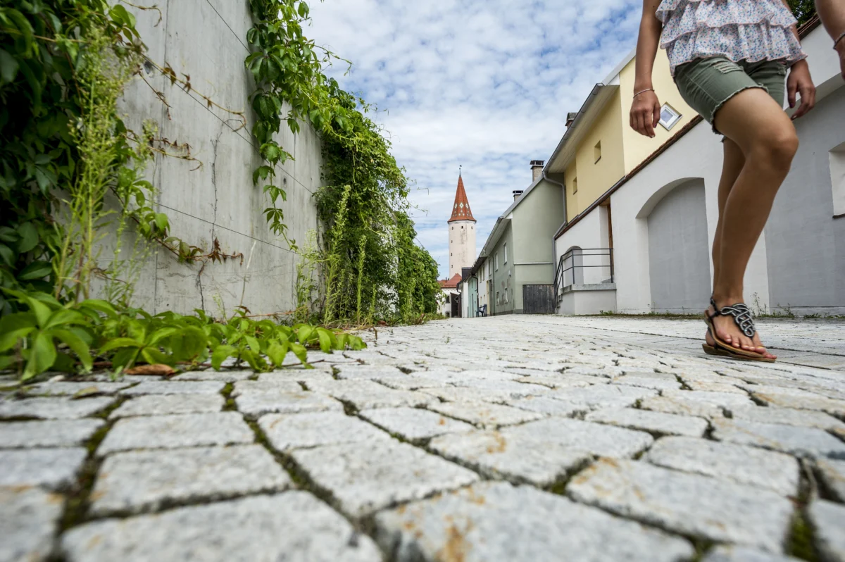 Zeitreise durch Mindelheim – Mindelheim