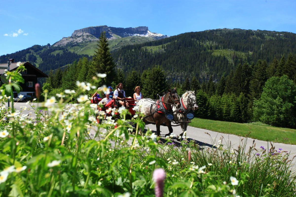 Pferdekutschenfahrt mit Einkehr – Kleinwalsertal