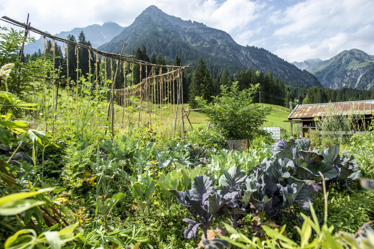 Im Garten der Vielfalt – Permakultur entdecken – Kleinwalsertal